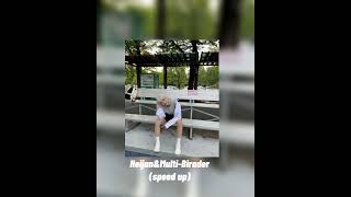 Heijan&Multi-Biraderspeed Up