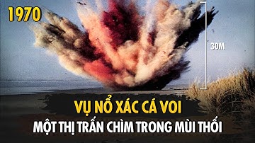 Sự Cố Cá Voi Phát Nổ Ở Bờ Biển Oregon - Cả Thị Trấn Florence Bốc Mùi | Sự Cố Có Thật