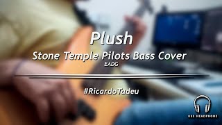 Plush - Stone Temple Pilots (Bass Cover)