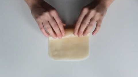 1.Never-Dried Bacterial Cellulose