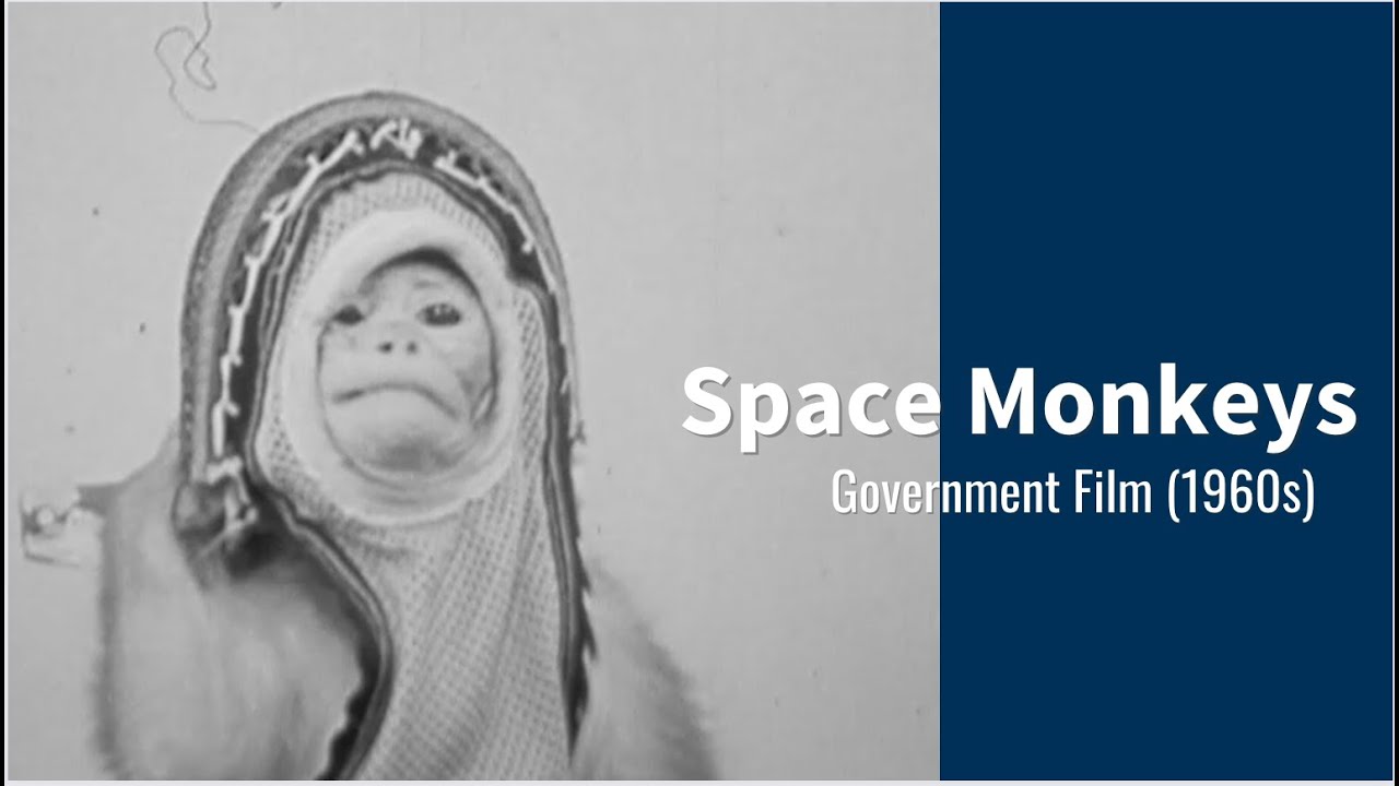 Training Monkeys to go to Space | 1960