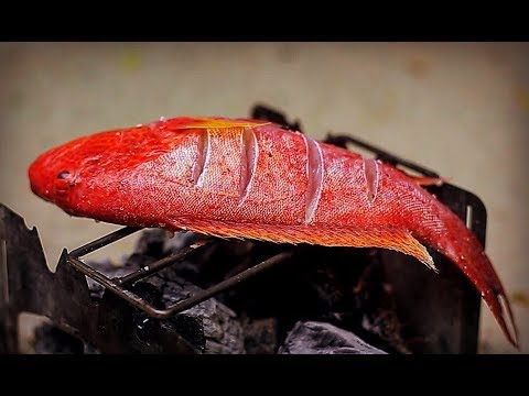 다금바리 / Fish Grill / lapu lapu / <strong>scuba</strong> <strong>diving</strong> / Camping, Cooking / 캠핑요리 / 캠핑한끼