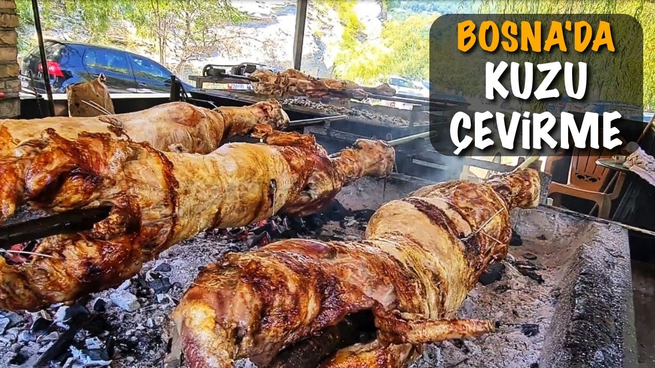 KUZU ÇEVİRME - BOSNA / BOSNIEN #91 