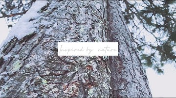 拉普蘭留學影像VLOG: University of Lapland｜Study in Lapland｜拉普蘭留學｜芬蘭留學｜Smartphone Video