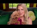 Meghan trainor im a dog mom official music with freshpet 60