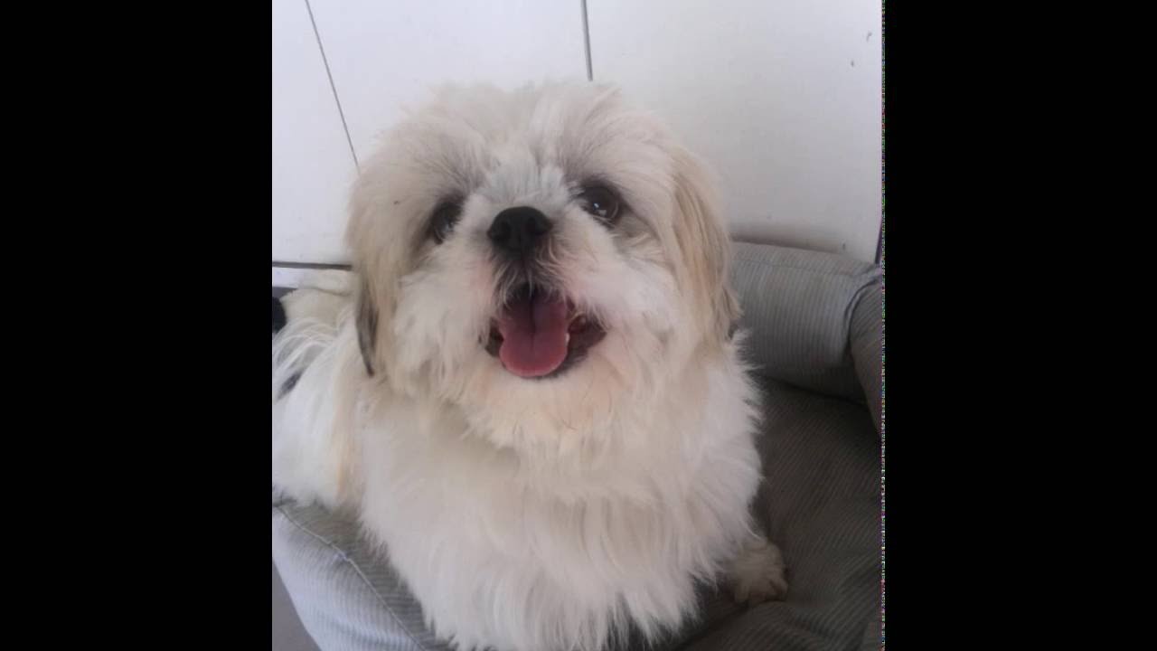 Assista a Childs days memory 米米CLUB no YouTube Assista a Childs days memory 米米CLUB no YouTube