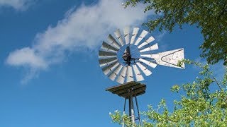 Church Of The Small Things Small Group Bible Study By Melanie Shankle - Session 1 Preview