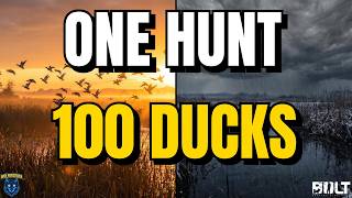 100 canards en UNE SEULE session ?! La pluie m'a presque achevé | BULT Hunting Simulator screenshot 3