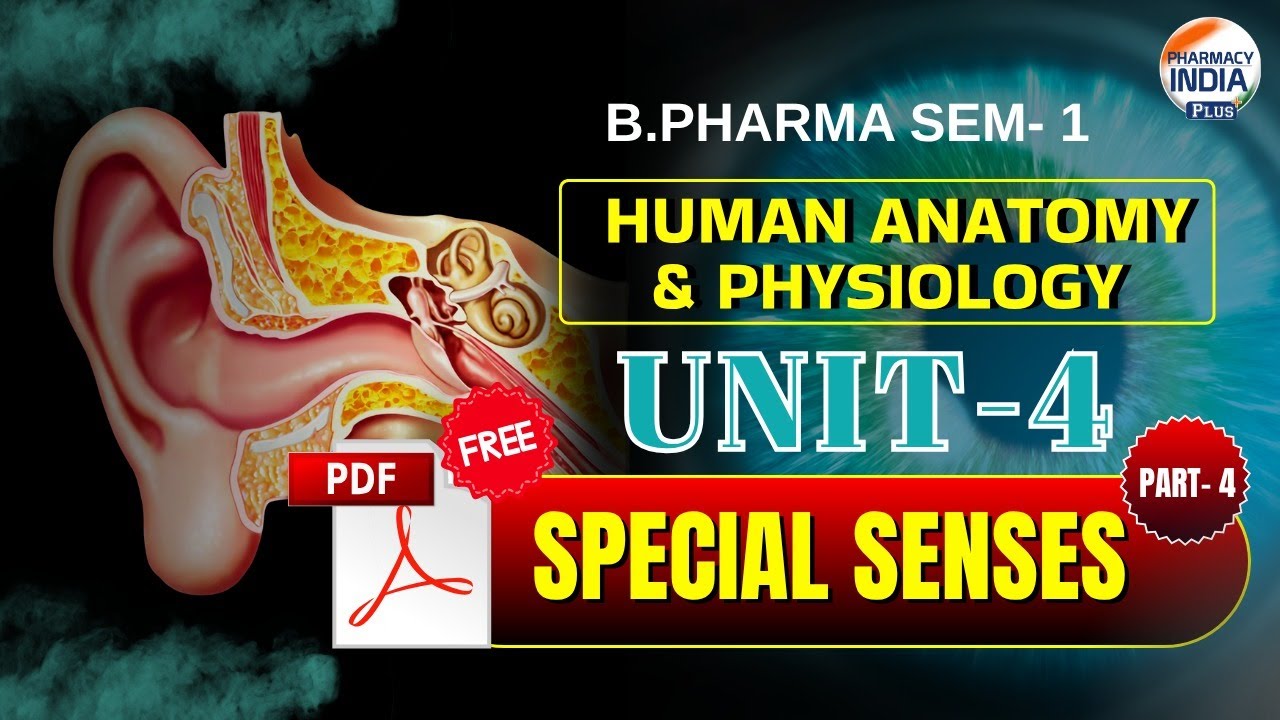 Ear | Special Senses | HAP | Part - 4 | Unit - 4 | Semester - 1| B.Pharm 