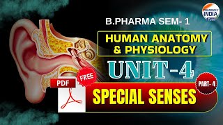 Ear | Special Senses | HAP | Part - 4 | Unit - 4 | Semester - 1| B.Pharm #humananatomy screenshot 1