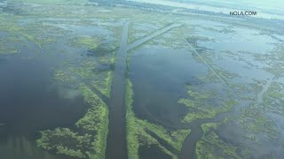 Jury rules Chevron to pay $740M for Louisiana coastal restoration