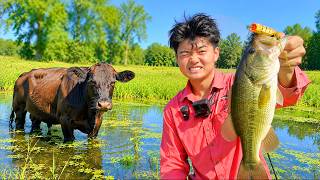 Exploring FARM Ponds FULL of Fish!