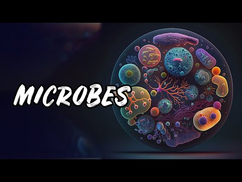 Microbes: How Tiny Organisms Rule the World