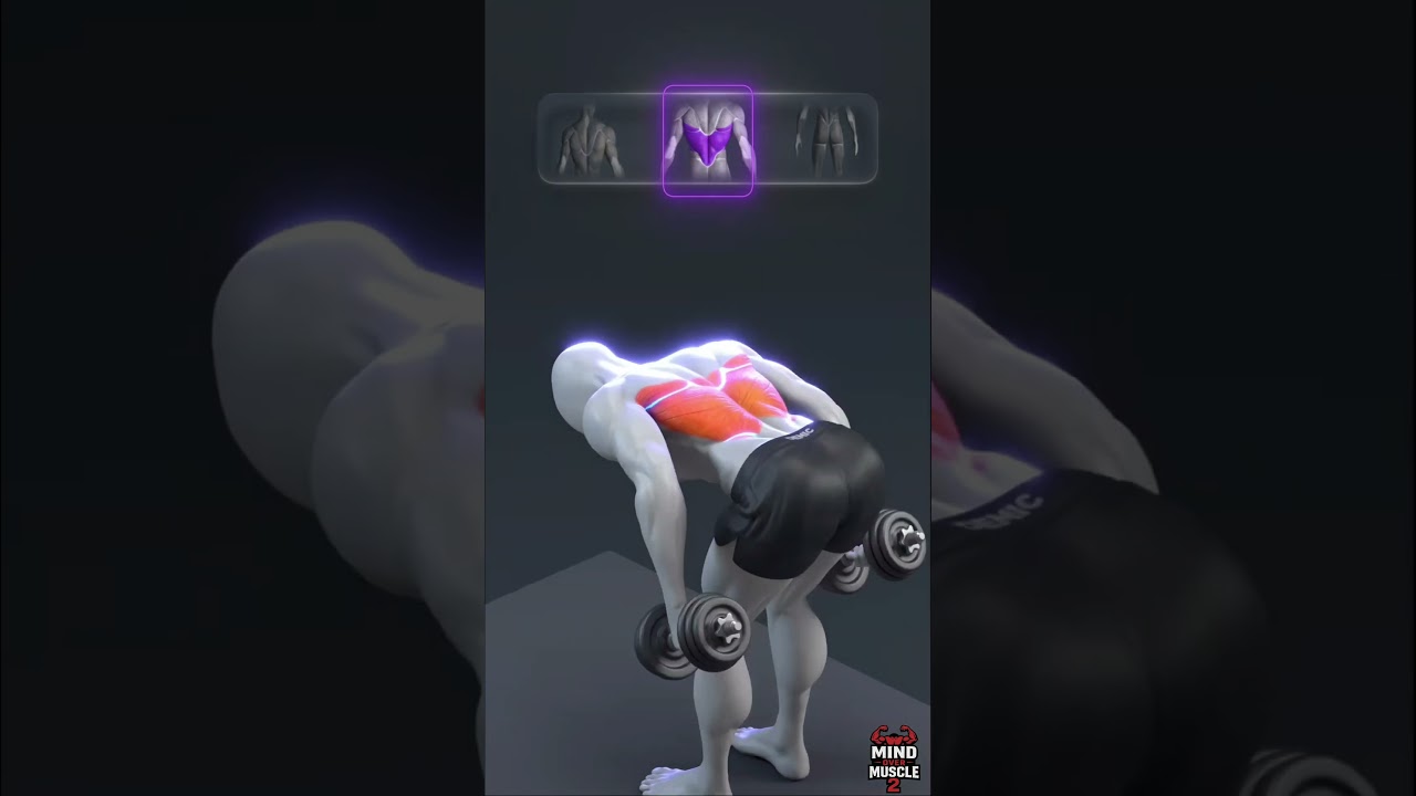 Still Not Feeling Your Back? Fix Your Mind Muscle Connection With Dumbbells