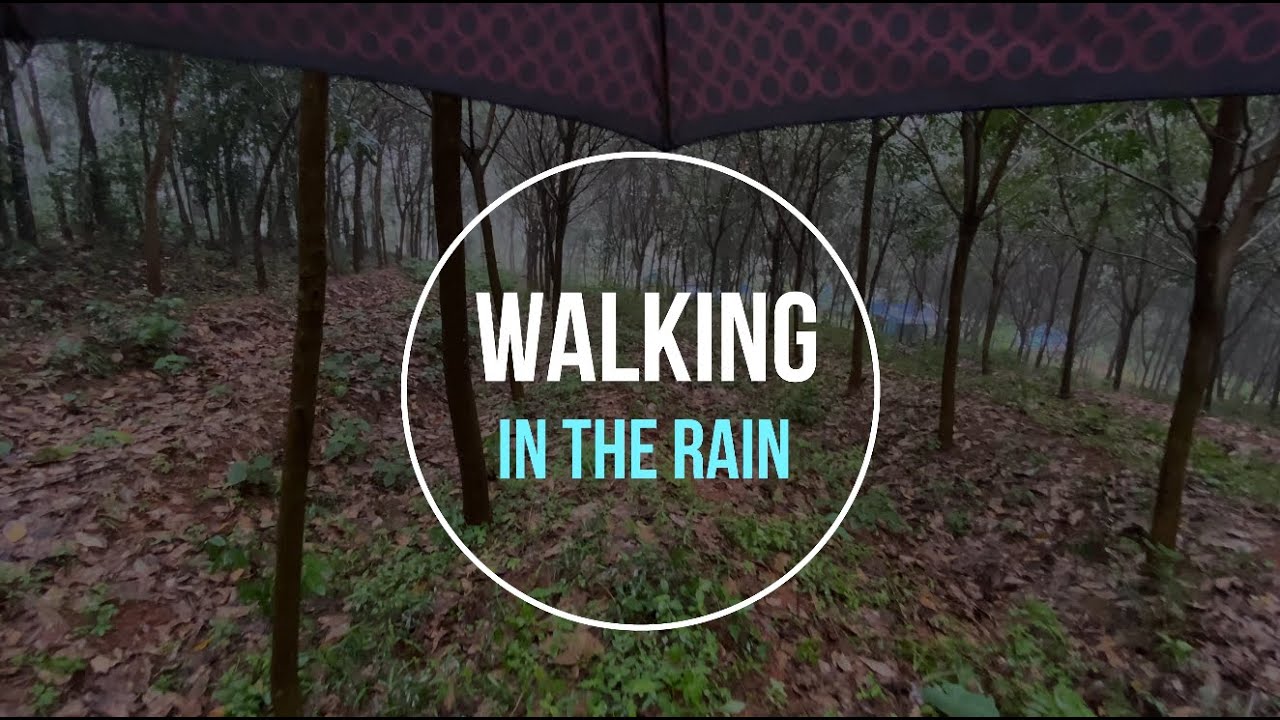 Walking in the rain | Rain on umbrella, Nature sounds and video | 4K ...