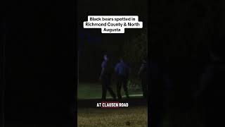 Two black bear sightings have been reported in the Augusta area in a matter of hours.