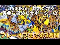 【ベガルタ仙台】1500km離れた地を黄金に染めたベガルタサポーターのプレーオフまでの3週間。
