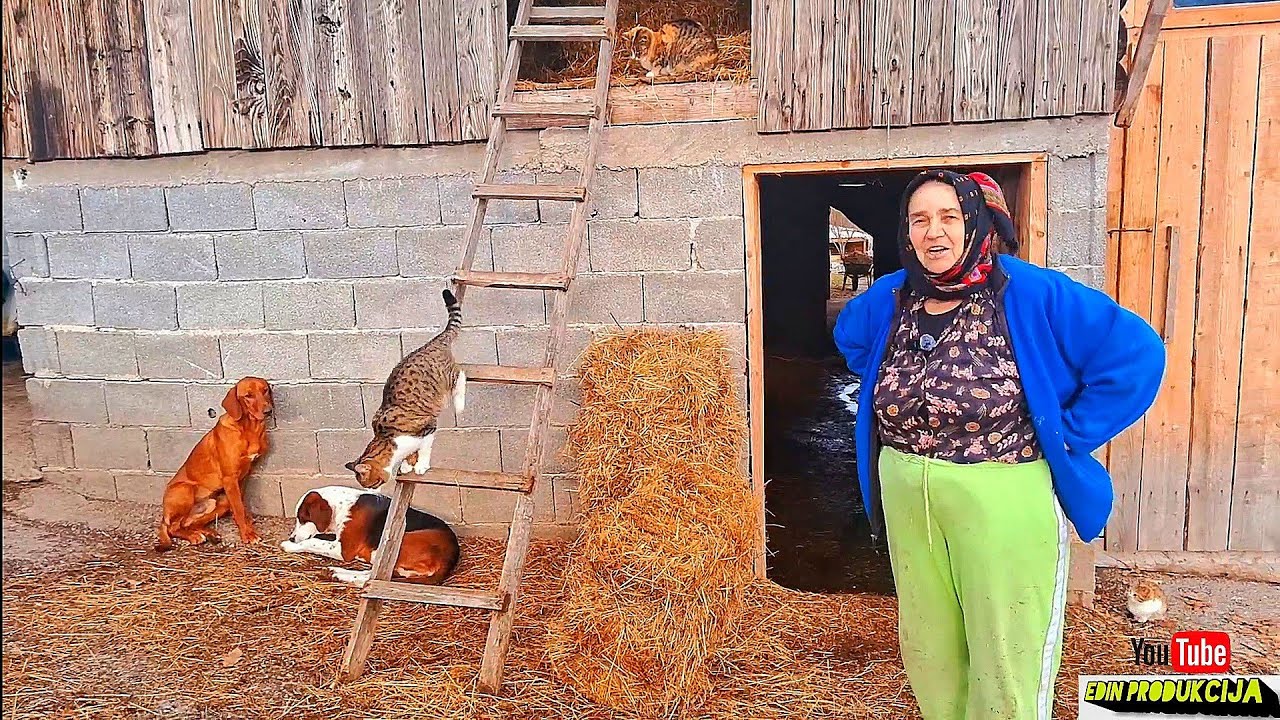 U šupi sa troje male djece živjeli smo pet godina , nismo se imali čime pokriti#edin