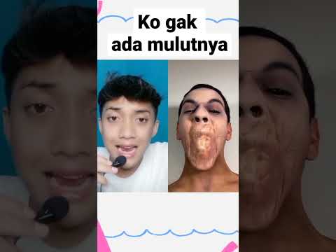 Video: 3 Cara Mengatasi Cirit-Birit dan Gangguan Muntah pada Kucing