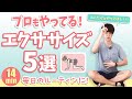 【2025年最新】プロもやってるこのルーティン、ぜひやってみてください!【解剖学/ピラティス/ストレッチ】