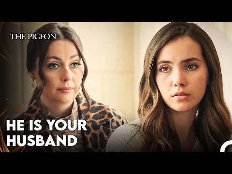 How Did You Change Your Decision? - The Pigeon Episode 11