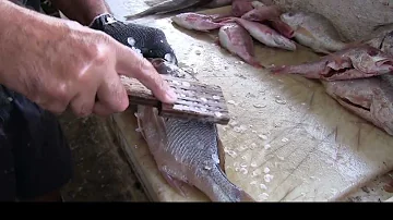 ¿Hay que lavar el pescado fresco antes de cocinarlo?