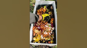 Composting Waste Fruits & Vegetables #composting #fertilizer