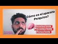 Cómo es el APARATO PSÍQUICO? 1er Tópico de Freud #inconsciente #consciente #preconsciente #psico