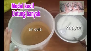 Cara membuat Es Kopyor bisa untung 150rban