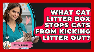 What Cat Litter Box Stops Cats From Kicking Litter Out? - Happy Cat Handbook