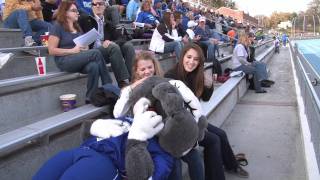 Spike the Bulldog Mascot Video