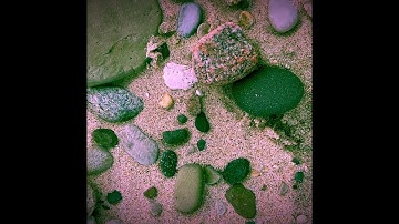 Broth and Christmas Poems - synthstrom deluge - elektron analog four - drumbrute impact - : live