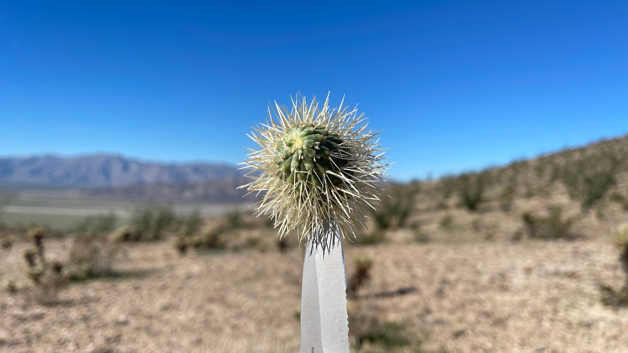 Do you see the trail? It's getting dark real fast!
