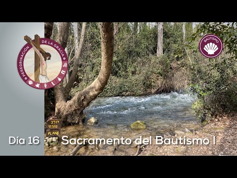 Video: ¿Baptizo siempre significa sumergir?