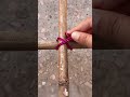 Practical tutorial on methods of tying knots with binding wire 🧵🔗🧐