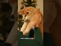 만약 감정을 완전히 조절할 수 있다면 인간다움은 사라질까? #만약 #1분요약 사고실험 #과학