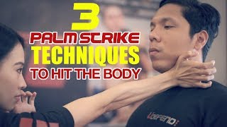 PALM STRIKE TECHNIQUES TO HIT THE BODY