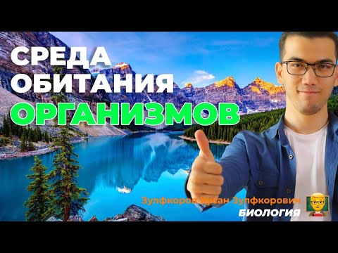 Среда обитания организмов. Факторы среды.