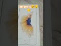 iPhone 6 😊😊 much 70,000