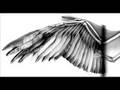 Indigo - Alas Humanas