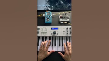 Music for the forest with Korg NTS 1 Zoom MS-70CDR midi controlled by Arturia Keylab