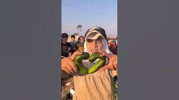 save us from this misery please while donating vis PayPal link in bio🙏🏻🙏🏻