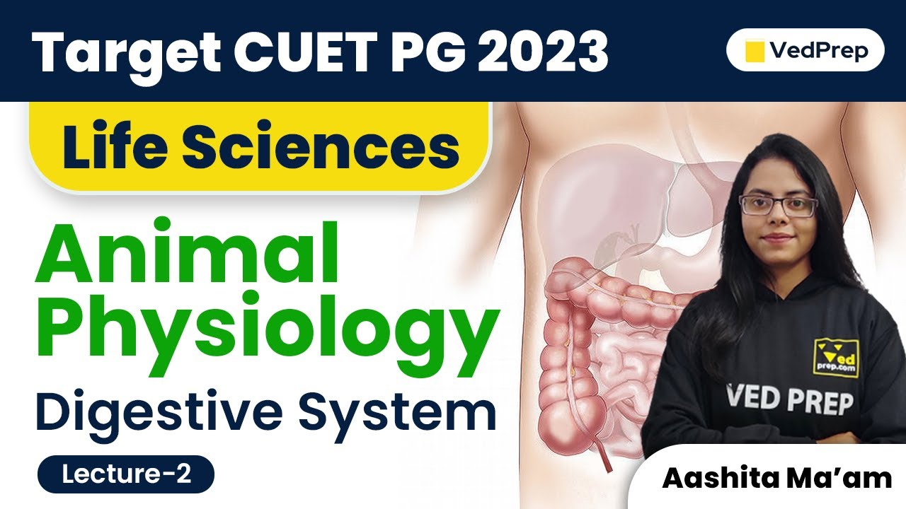 Digestive System | Animal Physiology | CUET PG 2023 Life Sciences | VedPrep Biology Academy