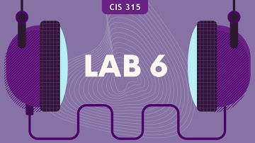 CIS 315 | Lab 6 + Task (Assignment)