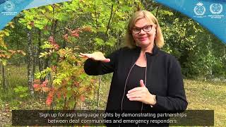 International Week of Deaf People 2024 - Thursday 26 September 2024
