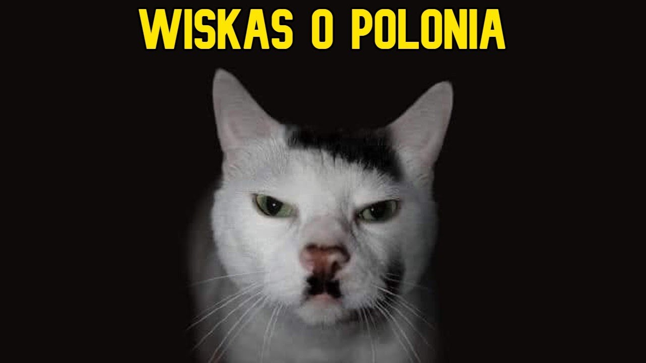 Solo hay una respuesta correcta | RDDC #72