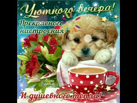 Уютного вечера, приятного настроения.