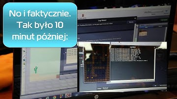 Jak działa klub CoderDojo?