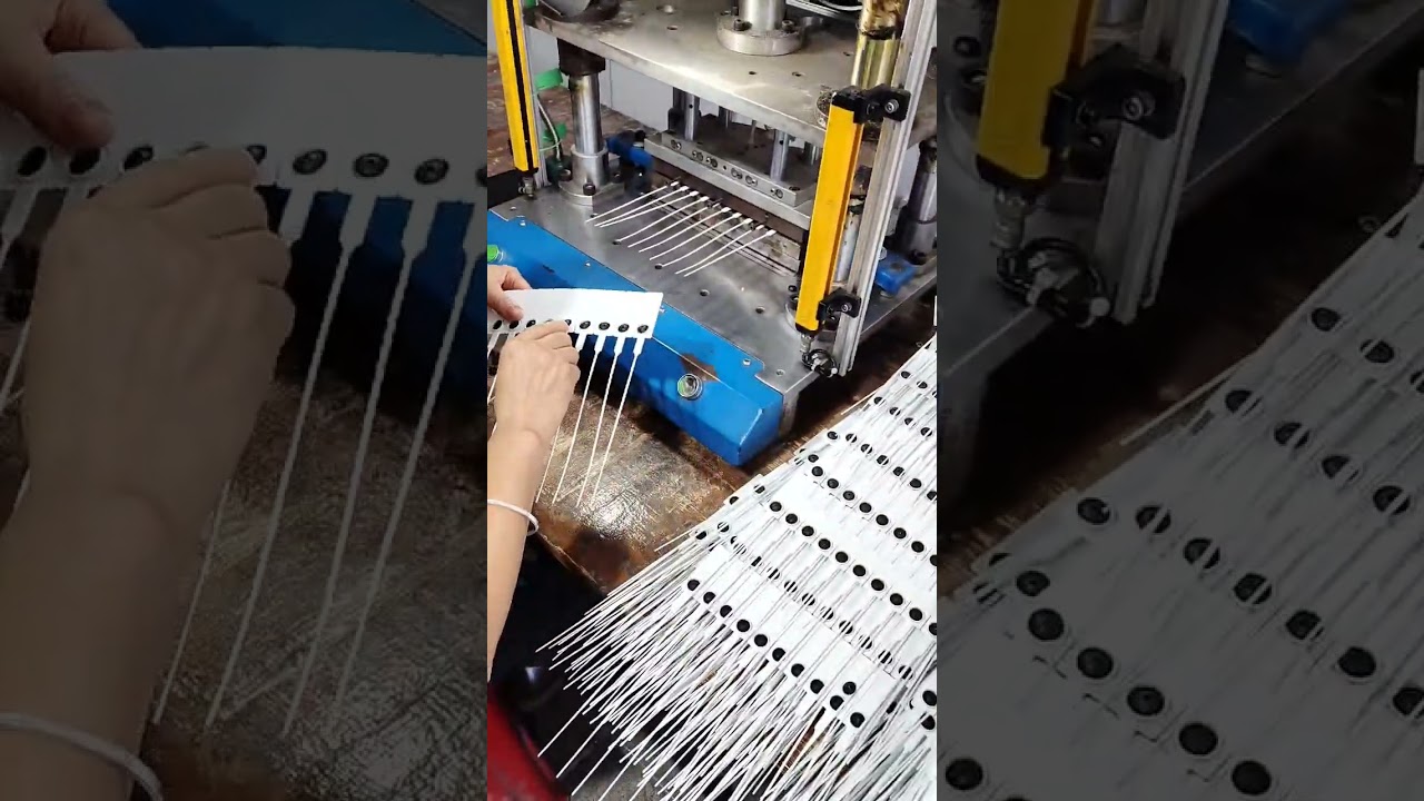 indicative plastic seal