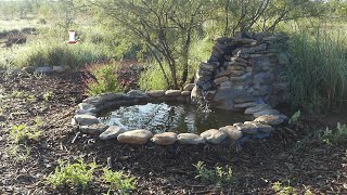Off-Grid Waterfall Wildlife Pond Success - Beautiful Visitors!